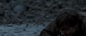 HP72-TrailerInternacional-Potterish-590.jpg