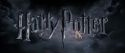 HP72-TrailerInternacional-Potterish-637.jpg