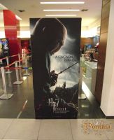 Harry_Potter_7_-_pre_estreia_28129.jpg