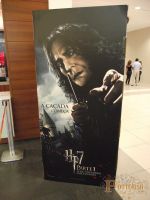 Harry_Potter_7_-_pre_estreia_28229.jpg