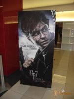 Harry_Potter_7_-_pre_estreia_28629.jpg
