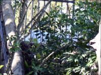 IMG_7673.jpg