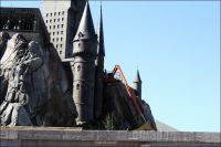 IMG_7683.jpg