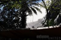 IMG_7686.jpg
