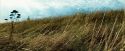 OdF-Potterish_0079.jpg