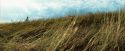 OdF-Potterish_0080.jpg