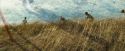 OdF-Potterish_0085.jpg