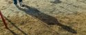 OdF-Potterish_0087.jpg