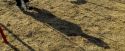 OdF-Potterish_0089.jpg