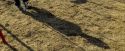 OdF-Potterish_0090.jpg
