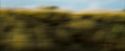 OdF-Potterish_0136.jpg