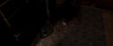 OdF-Potterish_0544.jpg