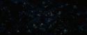 OdF-Potterish_0696.jpg