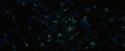 OdF-Potterish_0697.jpg