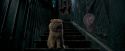 OdF-Potterish_1057.jpg