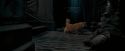 OdF-Potterish_1066.jpg
