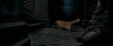 OdF-Potterish_1068.jpg