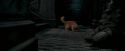 OdF-Potterish_1072.jpg