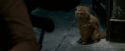 OdF-Potterish_1111.jpg