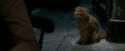 OdF-Potterish_1112.jpg