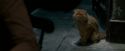 OdF-Potterish_1113.jpg