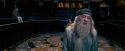 OdF-Potterish_1751.jpg