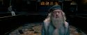 OdF-Potterish_1761.jpg