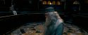 OdF-Potterish_1764.jpg