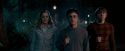 OdF-Potterish_2084.jpg