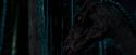 OdF-Potterish_2105.jpg
