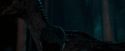 OdF-Potterish_2130.jpg
