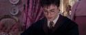 OdF-Potterish_2855.jpg