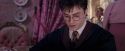 OdF-Potterish_2856.jpg