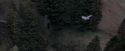OdF-Potterish_3034.jpg