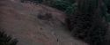 OdF-Potterish_3047.jpg