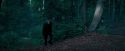 OdF-Potterish_3076.jpg
