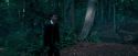 OdF-Potterish_3079.jpg