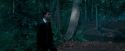 OdF-Potterish_3080.jpg