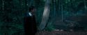 OdF-Potterish_3081.jpg
