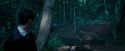 OdF-Potterish_3083.jpg