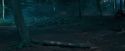 OdF-Potterish_3090.jpg