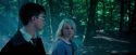 OdF-Potterish_3118.jpg