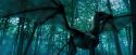 OdF-Potterish_3135.jpg