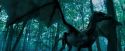 OdF-Potterish_3136.jpg