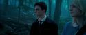 OdF-Potterish_3148.jpg