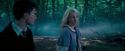 OdF-Potterish_3166.jpg
