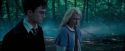 OdF-Potterish_3171.jpg
