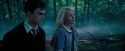 OdF-Potterish_3173.jpg