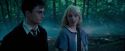 OdF-Potterish_3175.jpg