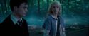 OdF-Potterish_3176.jpg